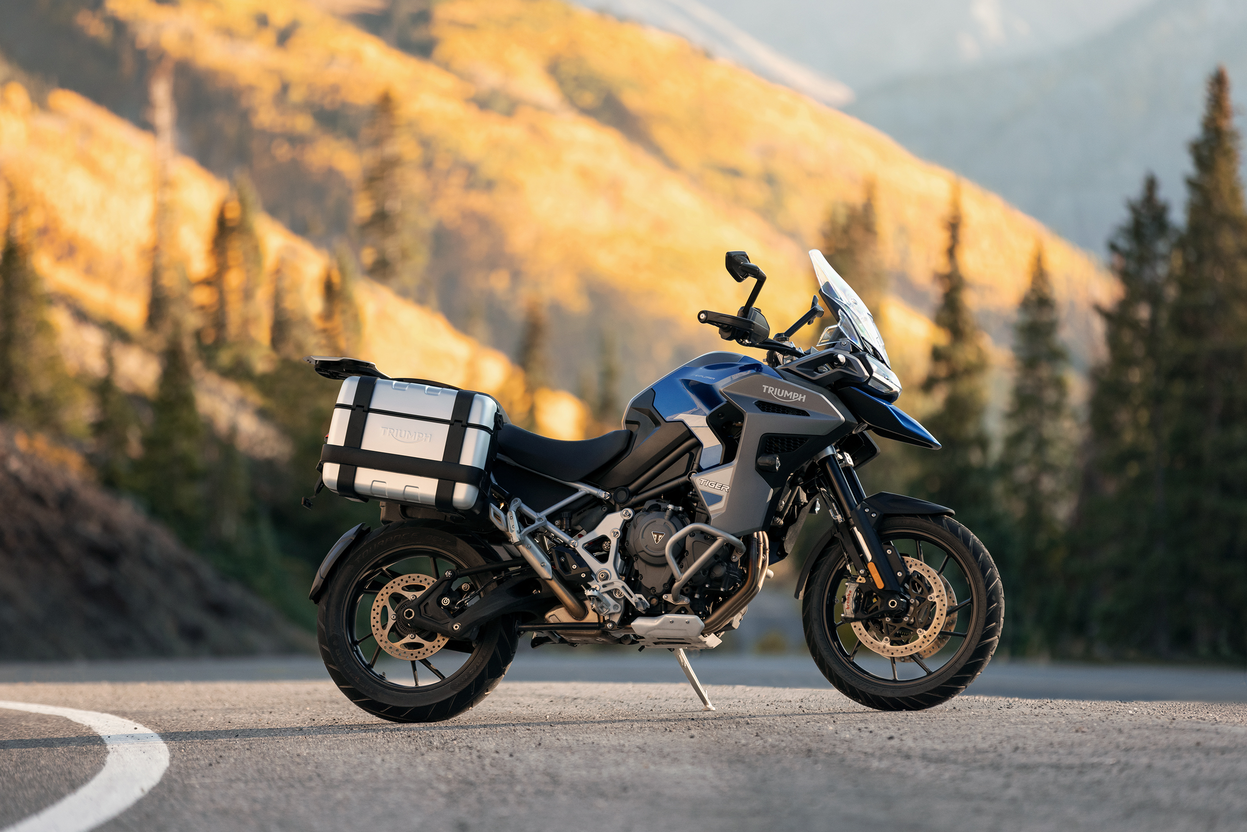 Tiger 1200   GT Explorer   Bild 3