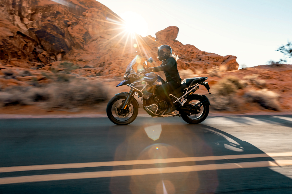 Tiger 1200   GT Pro   Bild 8