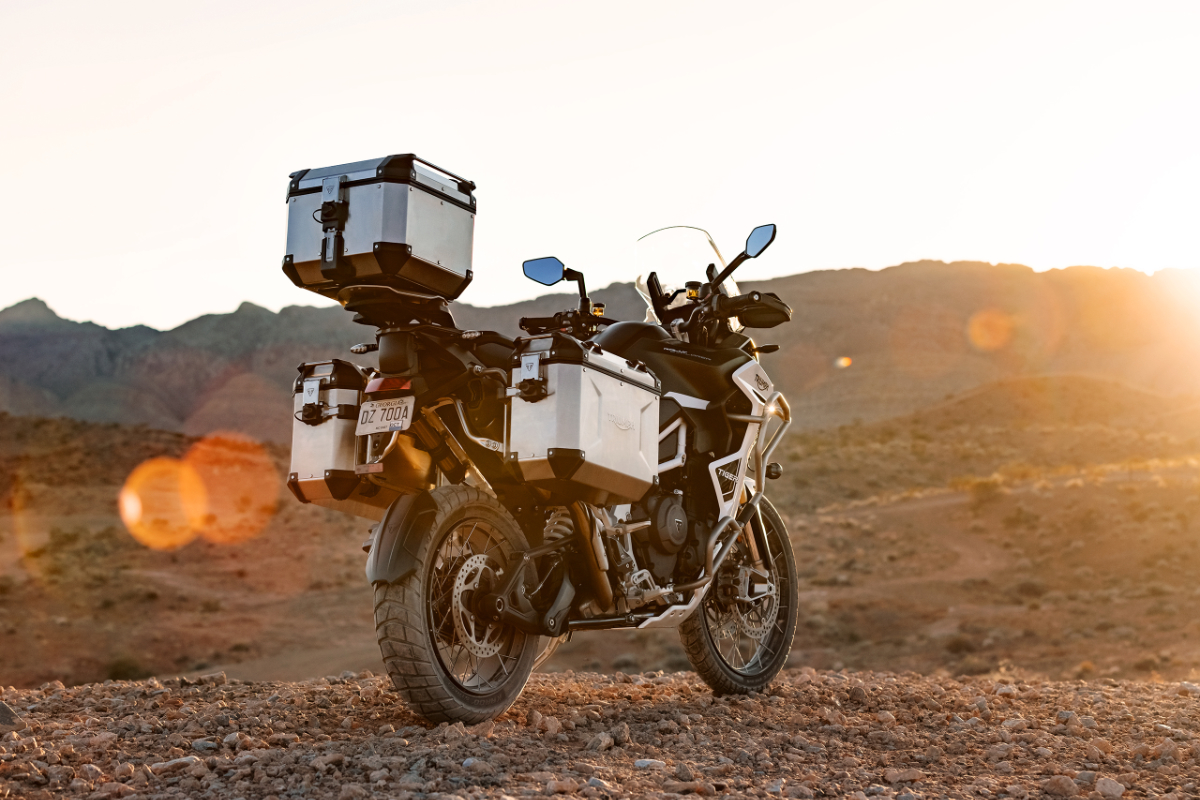 Tiger 1200   Rally Explorer   Bild 1