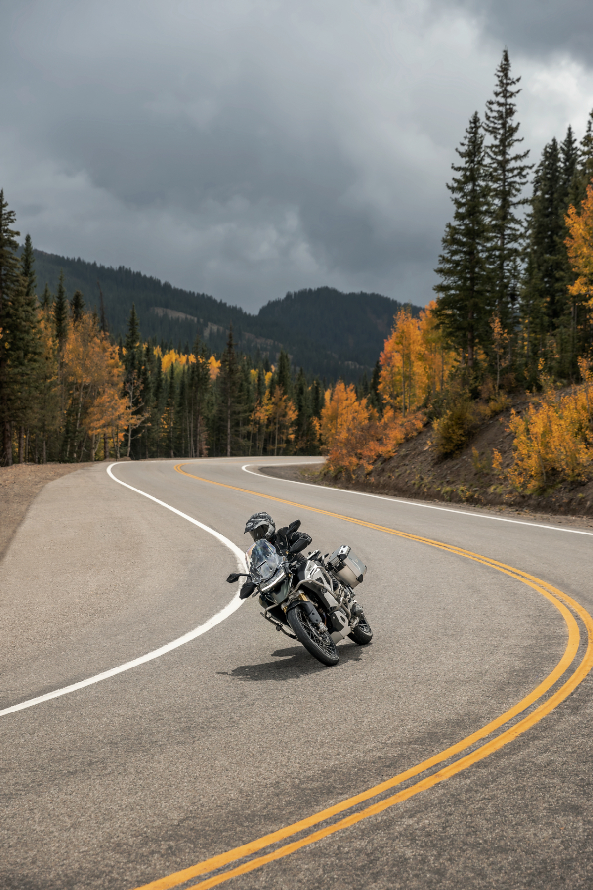 Tiger 1200   Rally Explorer   Bild 5