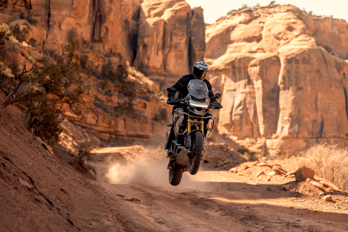 Tiger 1200   Rally Pro   Bild 4