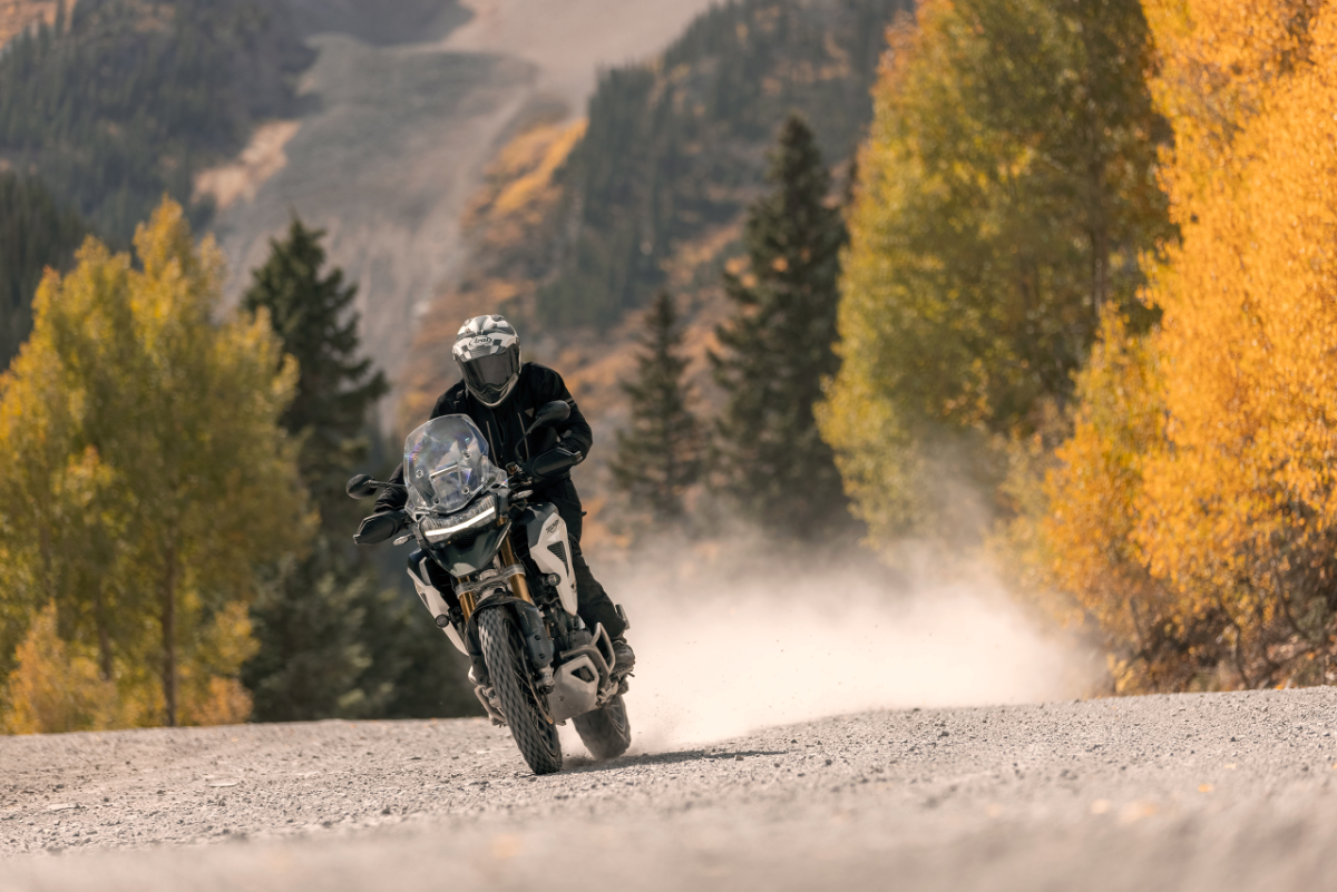 Tiger 1200   Rally Pro   Bild 5