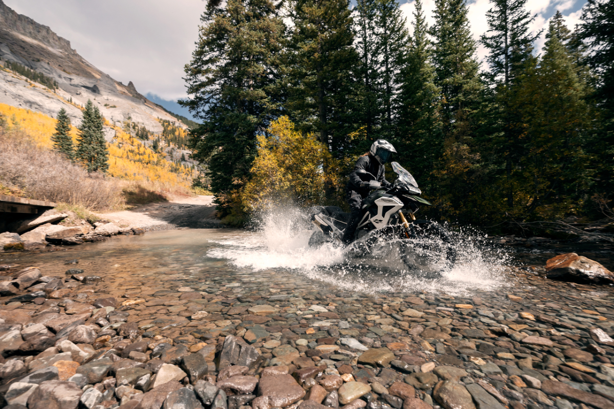 Tiger 1200   Rally Pro   Bild 7