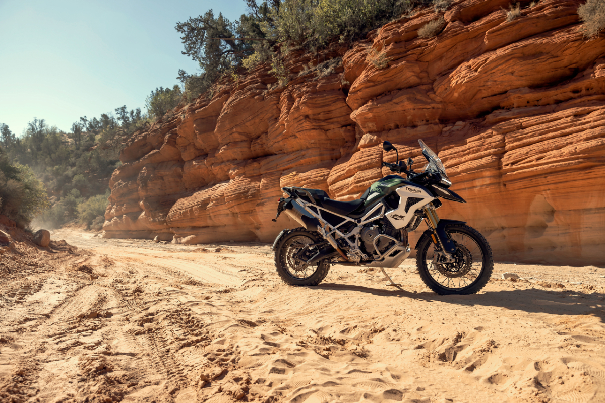 Tiger 1200   Rally Pro   Bild 8